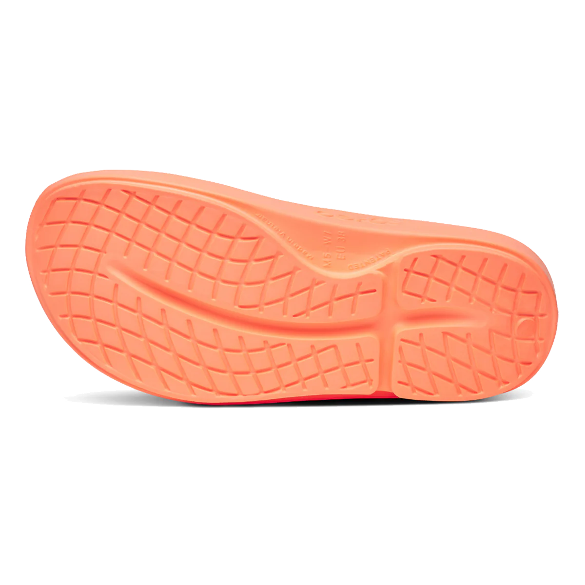 Product image 100