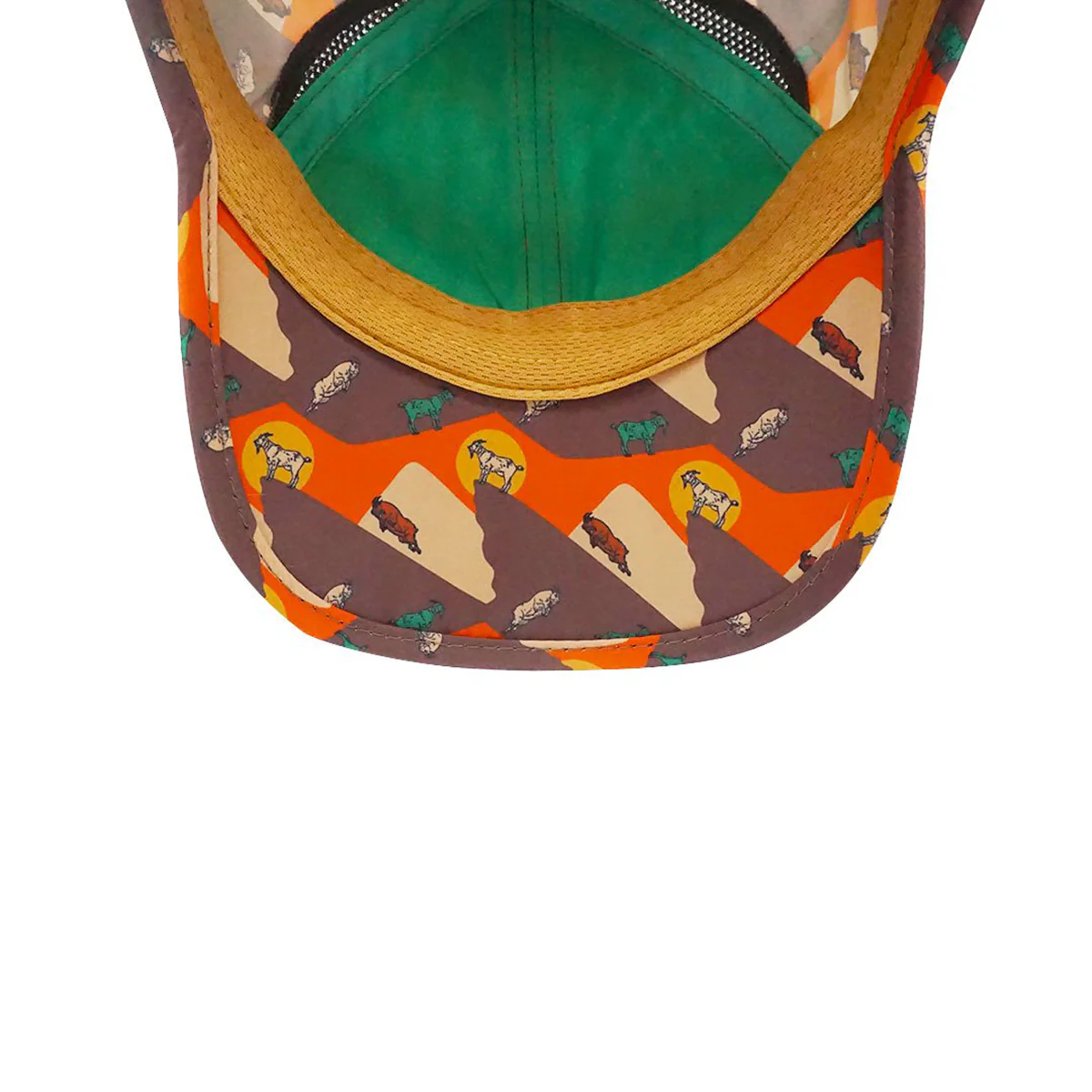 Product image 61